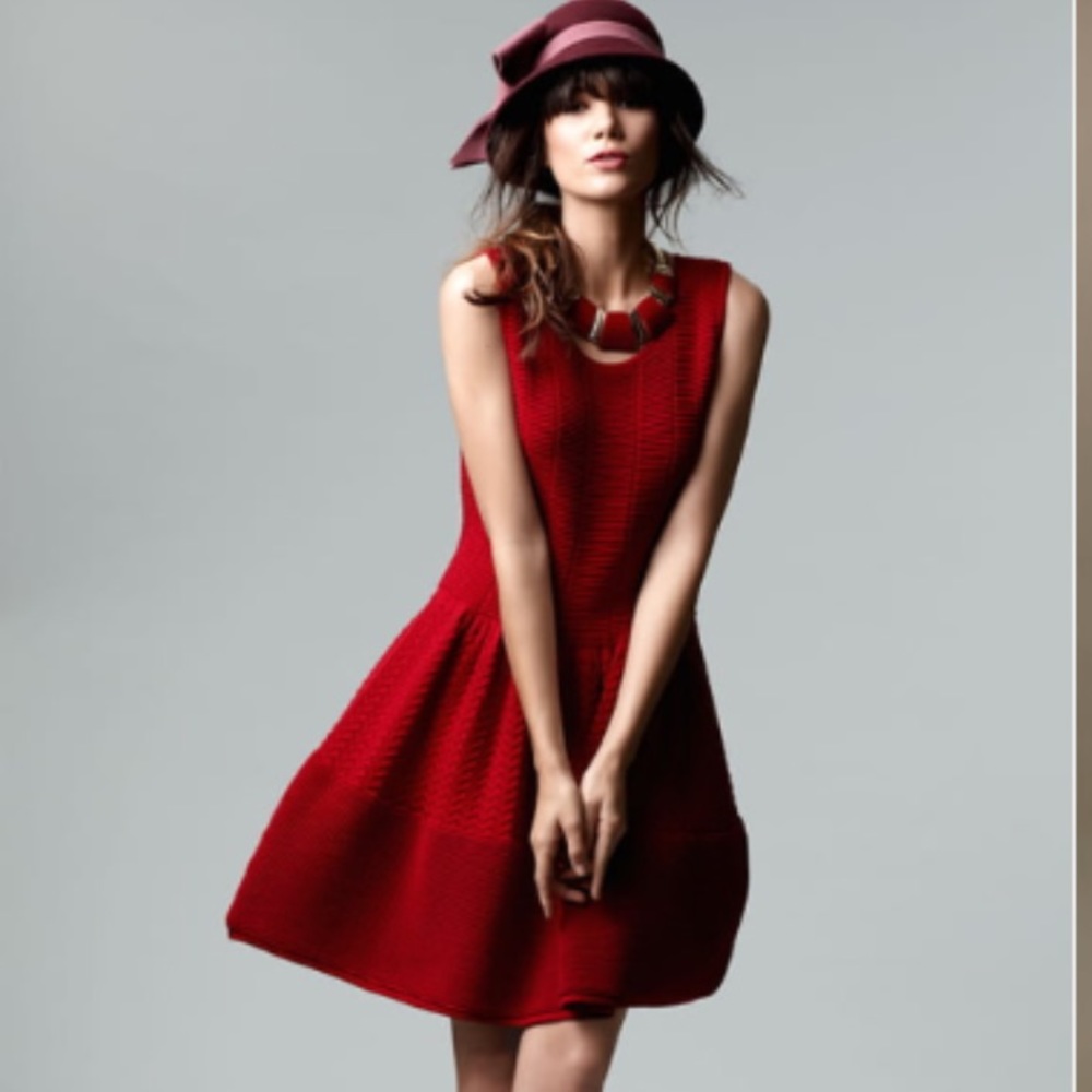 Cynthia Steffe Carly pointelle sweater dress XS